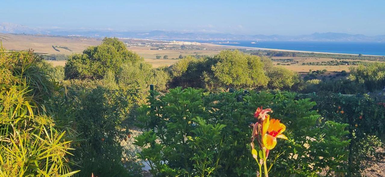 Вилла Rancho Blanco Tarifa La Pena Экстерьер фото